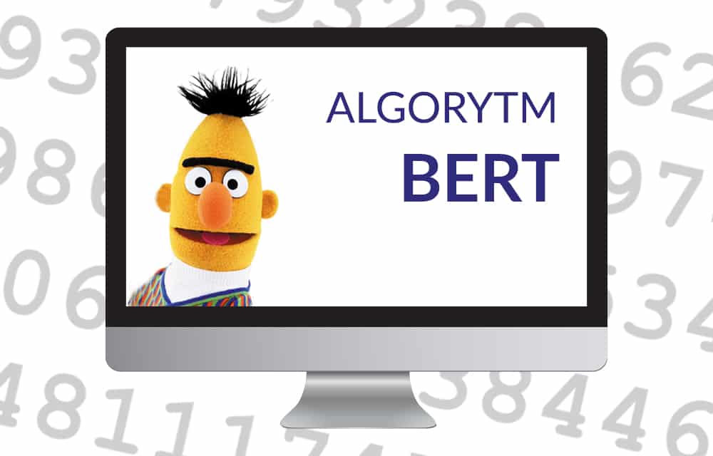 ALGORYTM BERT