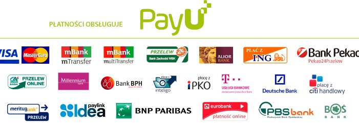 weryfikacja płatności - zabezpieczenia strony e-zommerce